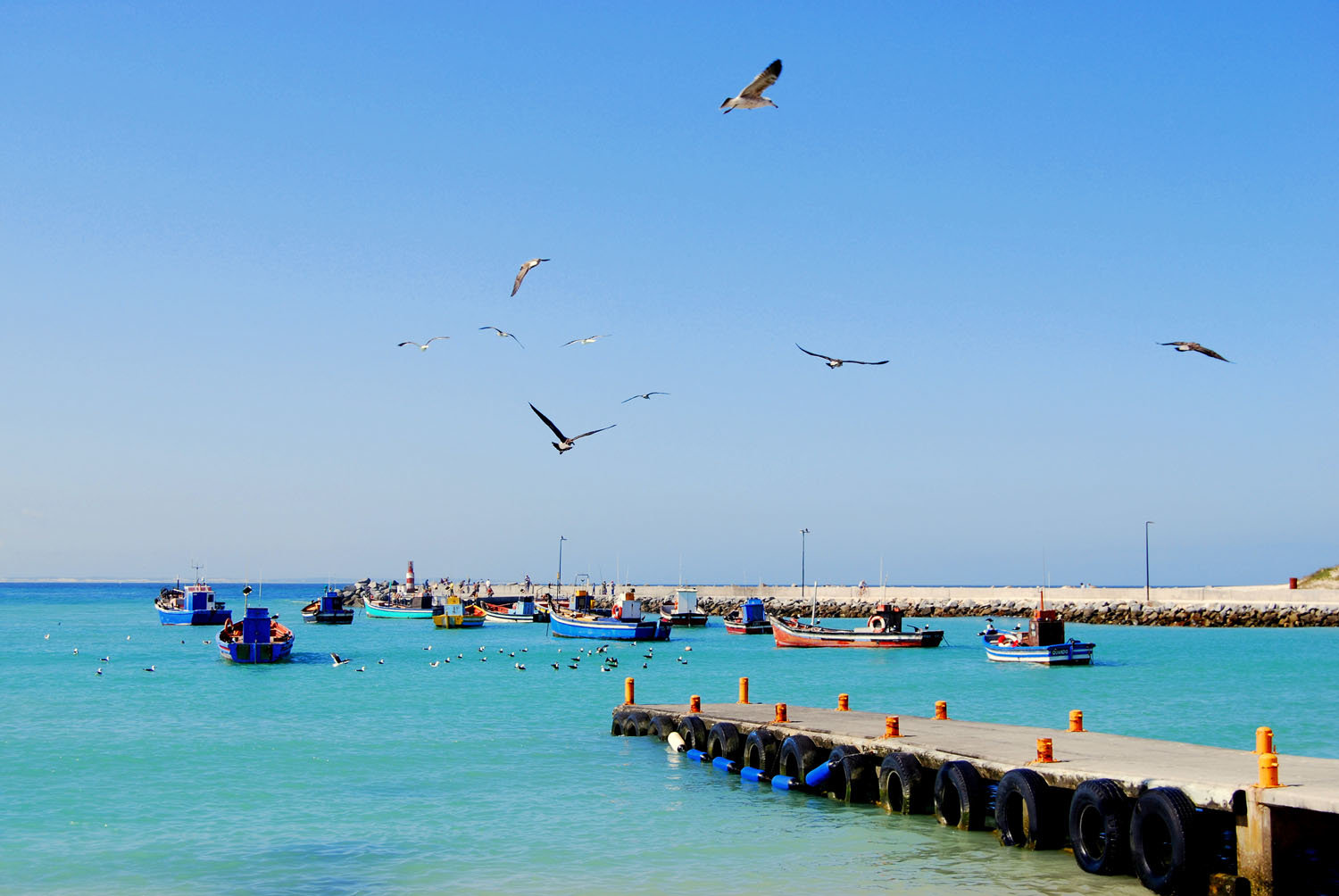 Struisbaai harbour and fishing boats near Langerust